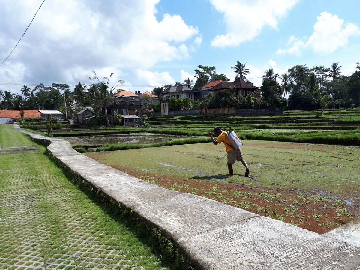 Villa Kirani