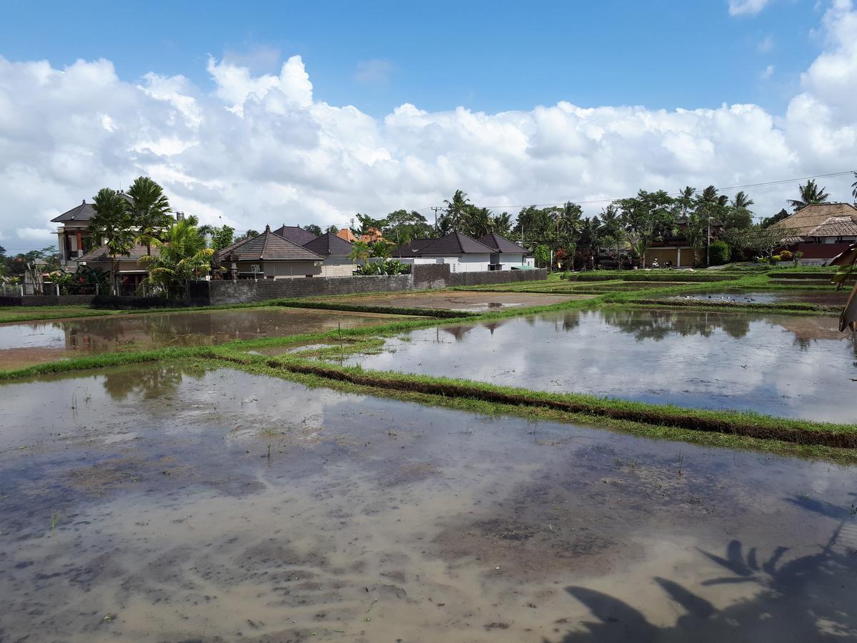 Kirani Villa *